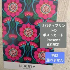 Item thumbnail for item 67c97452-7eff-47a0-a6b3-fea0f206565b