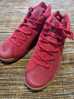 NIKE JORDAN MELO レッド スニーカーのサムネイル