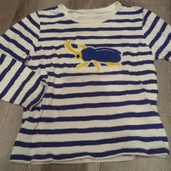 インセクトコレクション　かぶとむし　ロンT Lサイズ