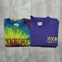 Hanes USA Tシャツ2枚セット レアデザイン XL 美品 肉厚