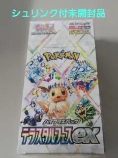 最終【9BOX】✳︎新品未開封 テラスタルフェスex シュリンク付 90パック ポケモンカードハイクラスパックテラスタルフェスex シュリンク