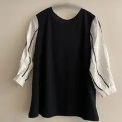 Item thumbnail for item 8d1d10f9-2b66-4c35-aee6-448c575b97d7