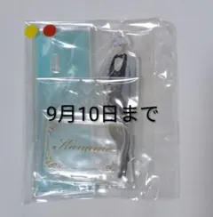 【即購入可】スタマイ カナメ