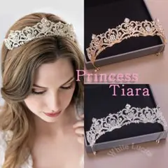 Item thumbnail for item d46e892a-e06f-47a0-96dd-66029f313d51