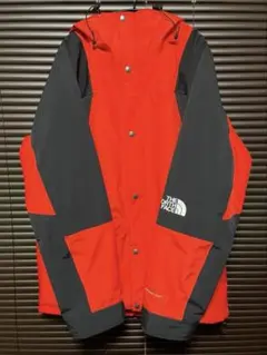ノースフェイス 1994レトロマウンテンライトジャケット 海外限定 防水