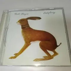 48.19 Froth Brizzy Lookaftering