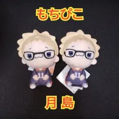 ハイキュー　もちぴこ　月島蛍　マスコット　ぬいぐるみ　①