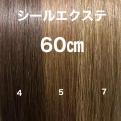 シールエクステ 60 ロングストレート