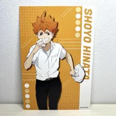 ハイキュー!! 日向翔陽 ポストカード