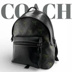 2026年最新】coach レキシー バッグの人気アイテム - メルカリ