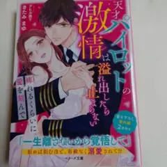 【P005】天才パイロットの激情は溢れ出したら止まらない～痺れるくらいに