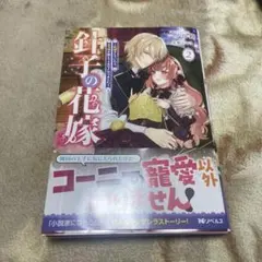 rina【まとめ買い大歓迎】小説出品中様専用