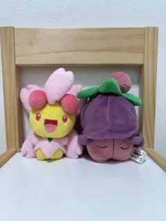 2025年最新】チェリム ぬいぐるみの人気アイテム - メルカリ