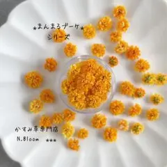 かすみ草　＊ビタミンオレンジ＊　60粒　まんまるブーケ　ドライフラワー