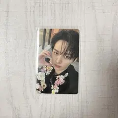 Hollow タワレコ リノ トレカ スキズ