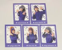 《メルカリ便》忍たま 忍ミュ 学園祭 15弾 ぱしゃこれ 五年 セット