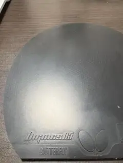 卓球ラバー　ディグニクス05