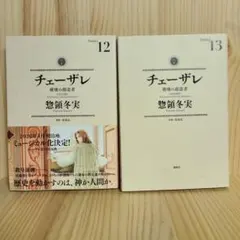 2026年最新】チェーザレ13の人気アイテム - メルカリ