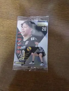全日本男子バレーボール ウエハーストレカ 山本智大 Rトレカ