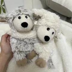 Item thumbnail for item bf35817c-c7cd-498a-9b2f-b61a4cbd7547