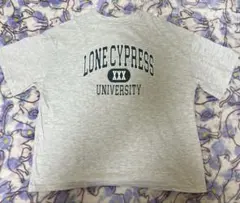 半袖Tシャツ Mサイズ