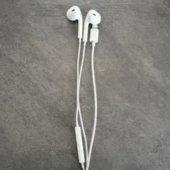 Apple EarPods ライトニング