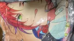 中古クッション・本体 空澄セナ BIGレオもちもちクッション 3周年 空澄セナ BIGレオもちもちクッション 3周年記念2023 ぶいすぽっ