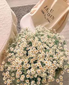 @@ふわふわ様専用出品@@