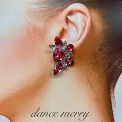 ▲イヤリング 【スワロフスキー製】社交ダンス ベリーダンス アクセサリー ドレス 社交ダンス アクセサリー スワロフスキー」の人気商品一覧