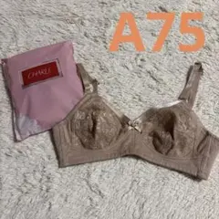 2025年最新】シャルレ ブラジャーcシリーズの人気アイテム