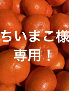 ちいまこ様専用！