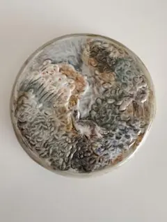 骨董 美濃焼 絵瀬戸 鉄釉 超希少！化け猫騒動 吹き墨 妖怪豆皿 小皿1
