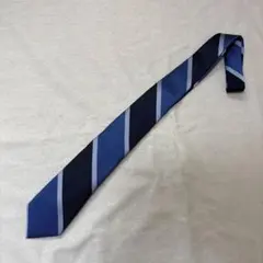 ストライプタイ1