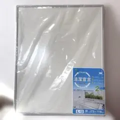 Item thumbnail for item 3066f3c4-9799-4e81-8091-c15732cf99c2