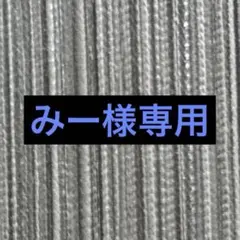 みー様専用ページ☆のサムネイル