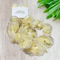 3COINS スリーコインズ　オーガンジースマホショルダー