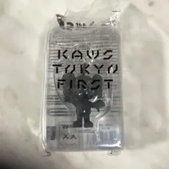 2026年最新】kaws jppの人気アイテム - メルカリ