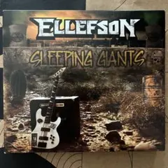 かねごん様 リクエスト 2点 まとめ商品