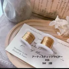 ★SALE★ アーティスティックワイヤー　 2個　送料込み！