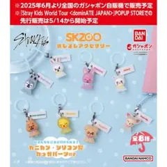 Stray Kids SKZOO トゥエッキ めじるしアクセサリー