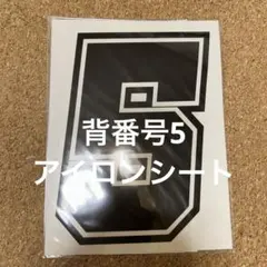 背號 5 用熨斗燙！ 熨燙印花 於制服上