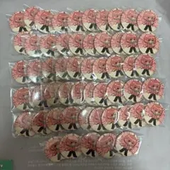 nqrse 缶バッジ あらなるめい 55枚 - メルカリ