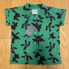 Item thumbnail for item 51735aa5-acb5-4191-86e1-25b781beaf25