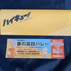 ハイキュー　「小さな巨人決定戦」特別招待券