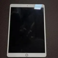Apple iPad 本体