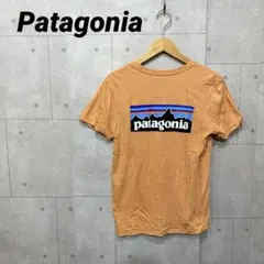 Patagonia パタゴニア　トップス　Tシャツ　オーガニックコットン　服　橙