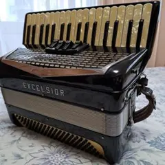 2025年最新】アコーディオンの人気アイテム - メルカリ