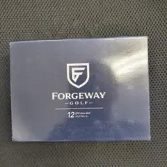 FORGEWAY DFS Core MAX ゴルフボール 12個入りのサムネイル