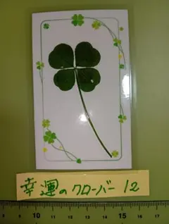 2026年最新】四葉のクローバー 押し花の人気アイテム - メルカリ