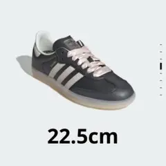 adidasサンバog